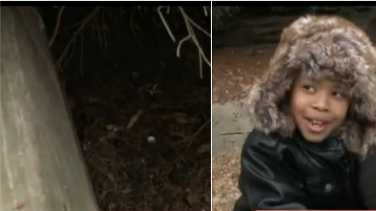 Sju år gamla Dominic och hans hund Coco fastnade i ett springa mellan en mur och buskar.
